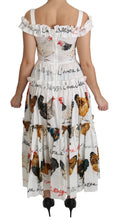 White Rooster Sheath Midi Cotton Dress Dolce & Gabbana
