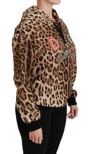 Brown Hooded Studded Ayers Leopard Sweater Dolce & Gabbana