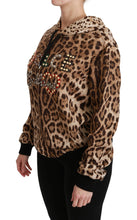 Brown Hooded Studded Ayers Leopard Sweater Dolce & Gabbana