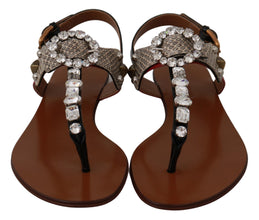 Leather Ayers Crystal Sandals Flip Flops Shoes Dolce & Gabbana