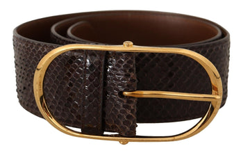 Brown Exotic Leather Gold Oval Buckle Belt Dolce & Gabbana