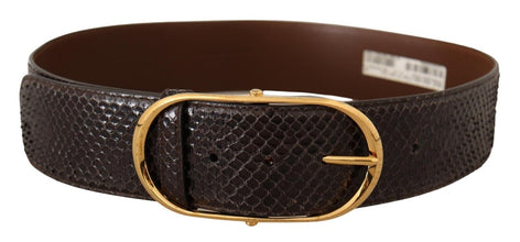 Brown Exotic Leather Gold Oval Buckle Belt Dolce & Gabbana