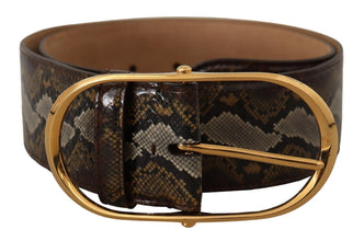 Brown Python Leather Gold Oval Buckle Belt Dolce & Gabbana