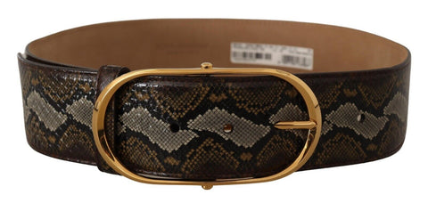 Brown Python Leather Gold Oval Buckle Belt Dolce & Gabbana