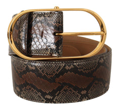 Brown Exotic Leather Gold Oval Buckle Belt Dolce & Gabbana