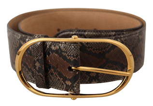 Brown Exotic Leather Gold Oval Buckle Belt Dolce & Gabbana