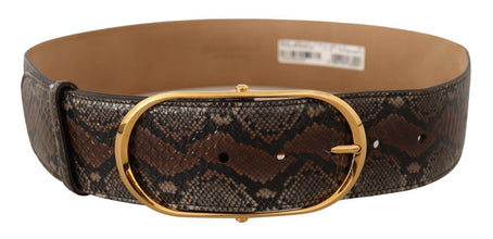 Brown Exotic Leather Gold Oval Buckle Belt Dolce & Gabbana