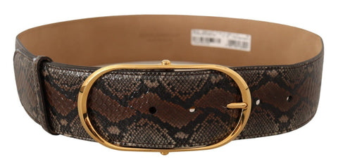 Brown Exotic Leather Gold Oval Buckle Belt Dolce & Gabbana