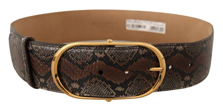 Brown Exotic Leather Gold Oval Buckle Belt Dolce & Gabbana