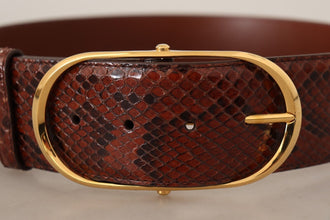 Brown Exotic Leather Gold Oval Buckle Belt Dolce & Gabbana