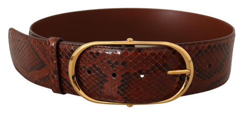 Brown Exotic Leather Gold Oval Buckle Belt Dolce & Gabbana