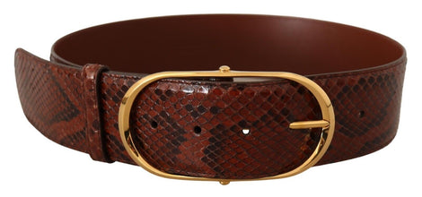 Brown Exotic Leather Gold Oval Buckle Belt Dolce & Gabbana