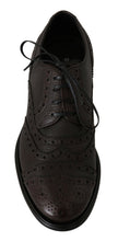 Brown Leather Wingtip Derby Formal Shoes Dolce & Gabbana