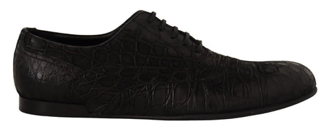 Black Caiman Leather Mens Oxford Shoes Dolce & Gabbana