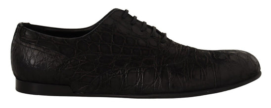 Black Caiman Leather Mens Oxford Shoes Dolce & Gabbana