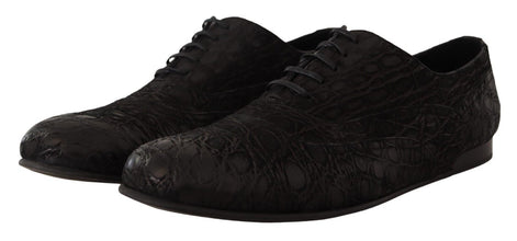 Black Caiman Leather Mens Oxford Shoes Dolce & Gabbana