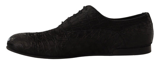 Black Caiman Leather Mens Oxford Shoes Dolce & Gabbana