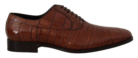 Brown Crocodile Leather Mens Formal Derby Shoes Dolce & Gabbana