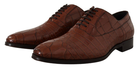 Brown Crocodile Leather Mens Formal Derby Shoes Dolce & Gabbana