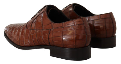 Brown Crocodile Leather Mens Formal Derby Shoes Dolce & Gabbana