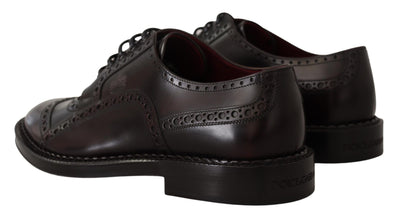 Purple Leather Oxford Wingtip Formal Shoes Dolce & Gabbana