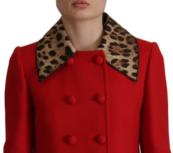 Red Leopard Wool Trenchcoat Jacket Dolce & Gabbana