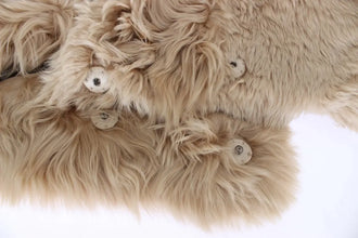 Beige Alpaca Collar Scarf Dolce & Gabbana