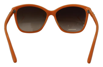 Orange Acetate Frame Round Shades DG4170PM Sunglasses Dolce & Gabbana