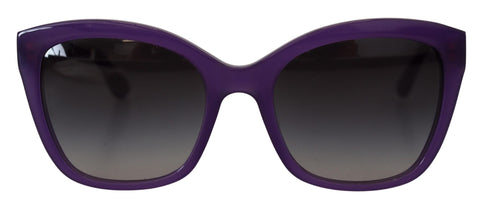 Purple Acetate Square Full Rim DG4240 Sunglasses Dolce & Gabbana