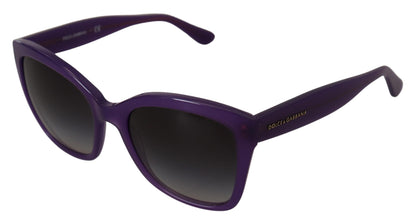 Purple Acetate Square Full Rim DG4240 Sunglasses Dolce & Gabbana