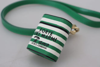 Green Leather Strap Gold Metal Logo Airpods Case Dolce & Gabbana