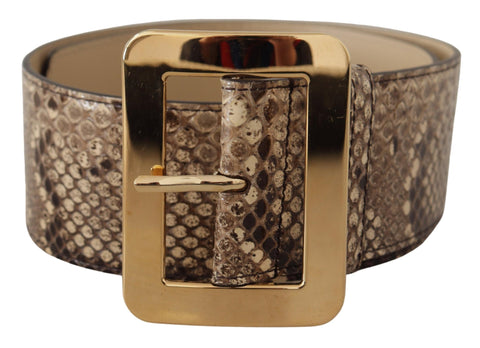 Brown Exotic Wide Waist Leather Gold Metal Buckle Belt Dolce & Gabbana