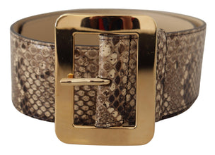 Brown Exotic Wide Waist Leather Gold Metal Buckle Belt Dolce & Gabbana
