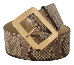 Brown Exotic Wide Waist Leather Gold Metal Buckle Belt Dolce & Gabbana