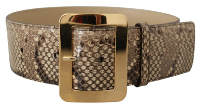 Brown Exotic Wide Waist Leather Gold Metal Buckle Belt Dolce & Gabbana