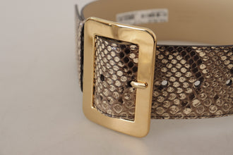 Brown Exotic Wide Waist Leather Gold Metal Buckle Belt Dolce & Gabbana
