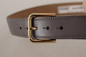 Gray Calfskin Leather Gold Metal Logo Buckle Belt Dolce & Gabbana