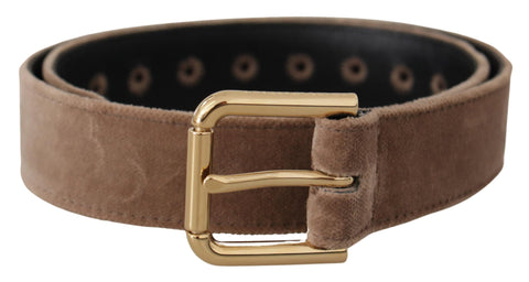Light Brown Velvet Gold Tone Logo Metal Buckle Belt Dolce & Gabbana