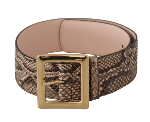 Beige Exotic Leather Wide Gold Metal Buckle Belt Dolce & Gabbana