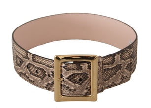 Beige Exotic Leather Wide Gold Metal Buckle Belt Dolce & Gabbana