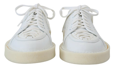 White Leather Low Top Oxford Sneakers Casual Shoes Dolce & Gabbana