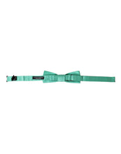 Dolce & Gabbana Mint Green Silk Adjustable Neck Men Bow Tie