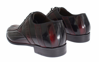 Black Bordeaux Leather Dress Formal Shoes Dolce & Gabbana