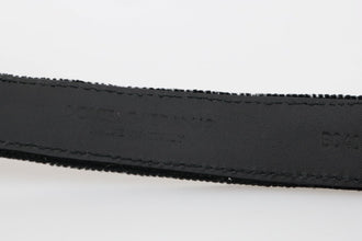Black Cotton Royal Bee Embroidery Belt Dolce & Gabbana