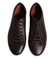 Dolce & Gabbana Brown Low Top Men Saint Tropez Sneakers Shoes