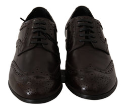 Brown Leather Broques Oxford Wingtip Shoes Dolce & Gabbana
