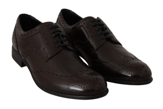 Brown Leather Broques Oxford Wingtip Shoes Dolce & Gabbana
