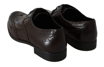 Brown Leather Broques Oxford Wingtip Shoes Dolce & Gabbana