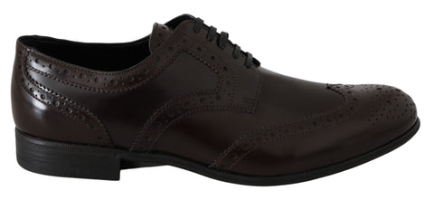 Brown Leather Broques Oxford Wingtip Shoes Dolce & Gabbana