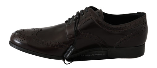 Brown Leather Broques Oxford Wingtip Shoes Dolce & Gabbana